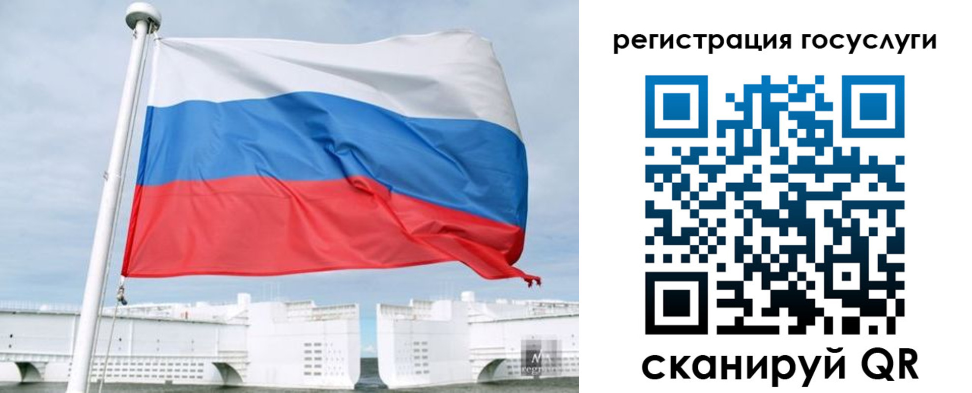 временная регистрация поиск в Калининградской области